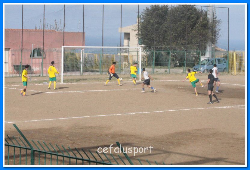 130406 delfini 110_tn.jpg